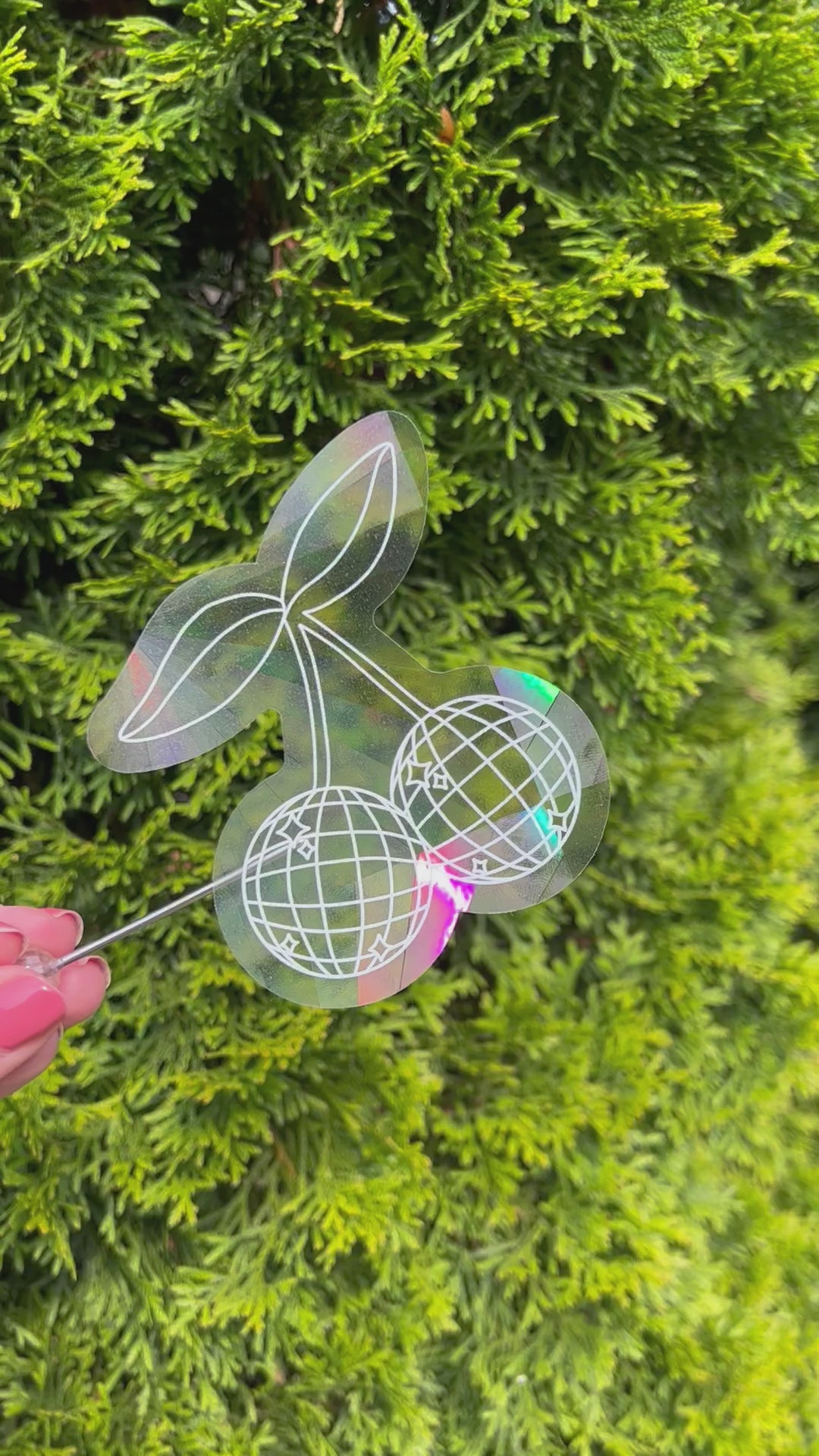 Disco cherry holographic suncatcher sticker held up refracting light and making rainbows in front of leafy green plant