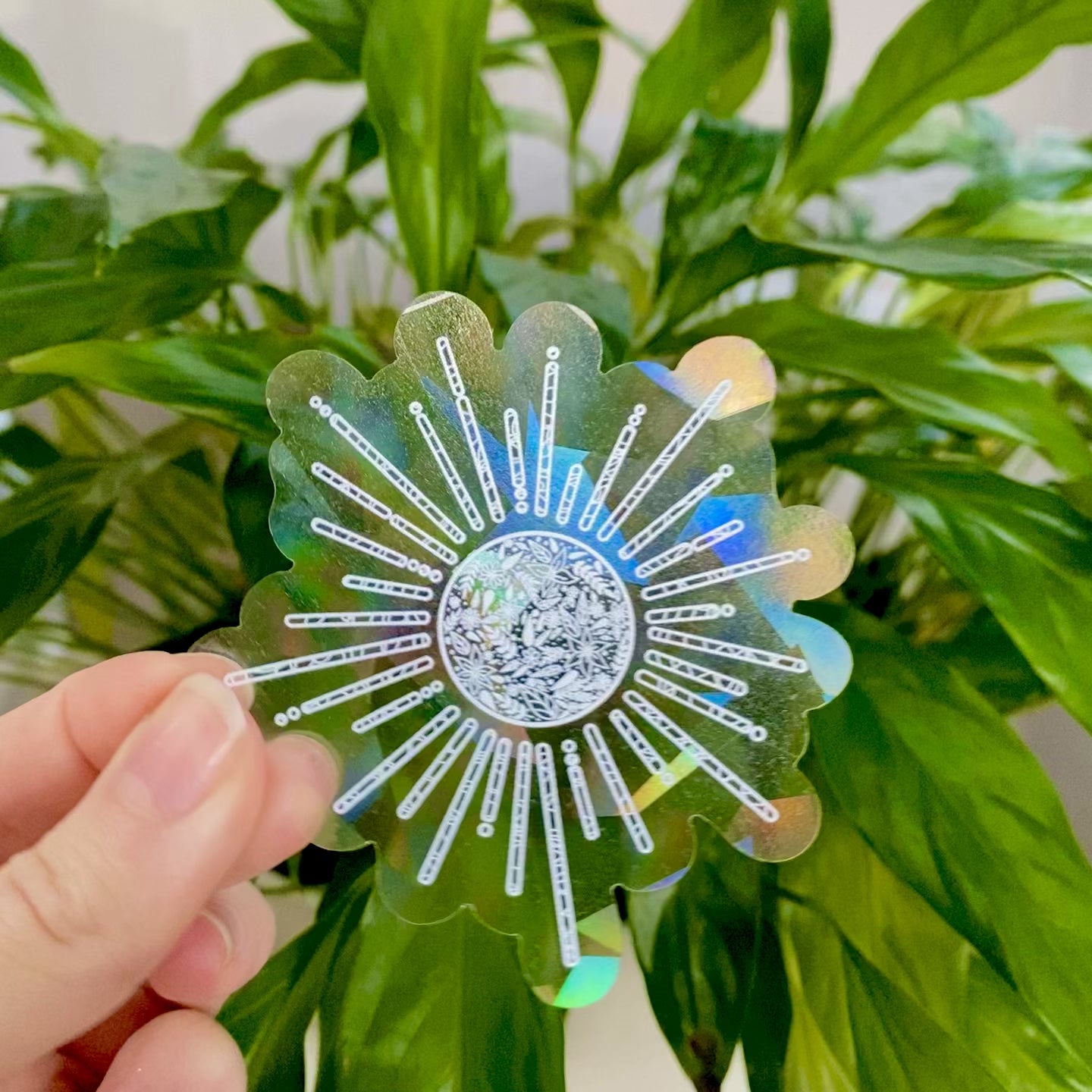 Hand holding up holoraphic sun shaped suncatcher sticker that is refracting light and making rainbows in front of a green plant