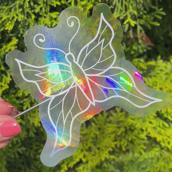 Holographic butterfly shaped suncatcher sticker held up in front of a green plant refracting light and making rainbows
