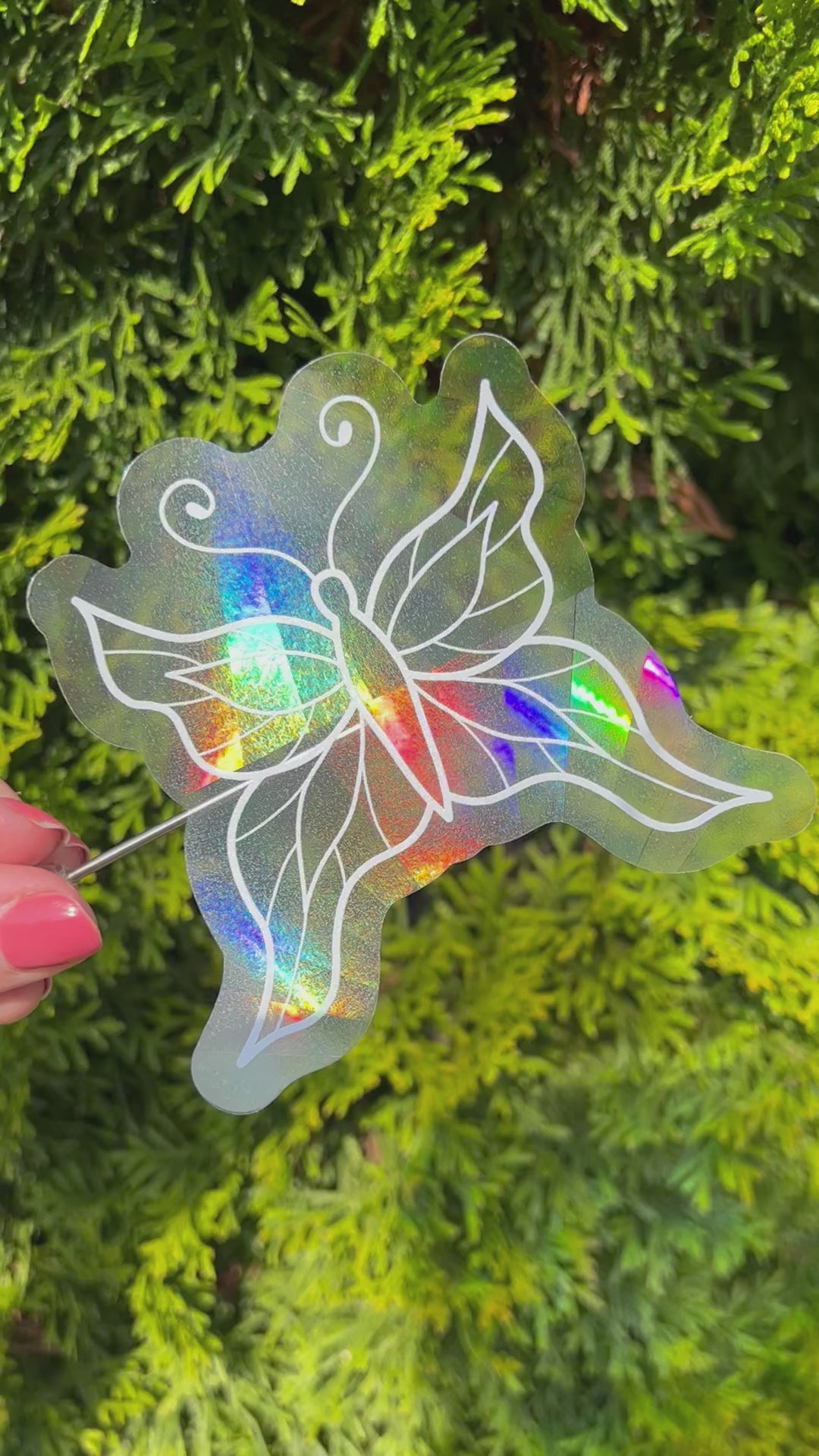 Holographic butterfly shaped suncatcher sticker held up in front of a green plant refracting light and making rainbows